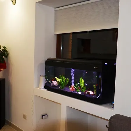 La Tana Delle Lepri 4* Morolo